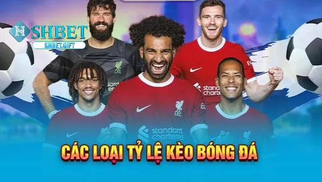 Thể Thao Giải Trí SHBET - Đam Mê Thể Thao Thực Tế